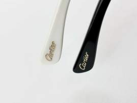 Picture of Cartier Sunglasses _SKUfw77838393fw